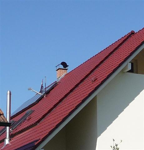 36_Ausschnitt.jpg